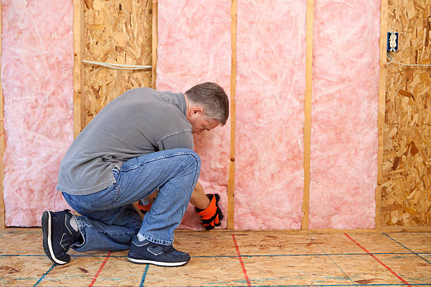 Best Insulation for Specific Applications in Lake Dalecarlia, IN